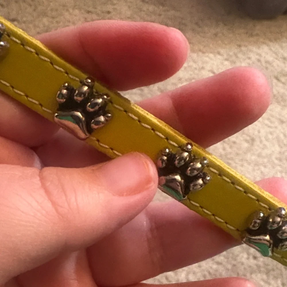 New leather Yellow Dog Collar with Paw Print Design 12 inches s/m